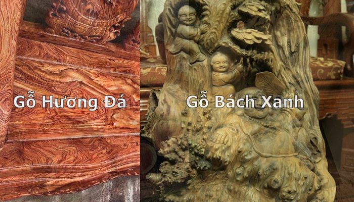 So sánh gỗ Hương Đá và gỗ Bách Xanh: Nên lựa chọn gỗ nào?